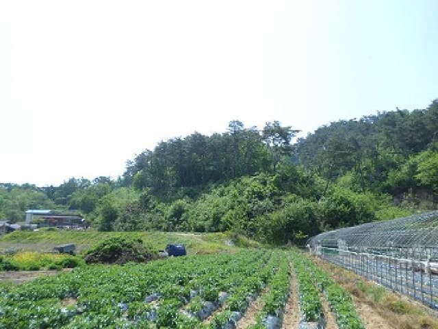 B000262202501300206201.jpg