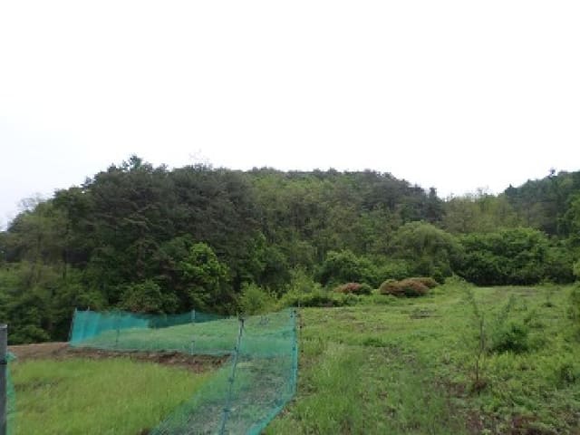 B000262202501300206211.jpg