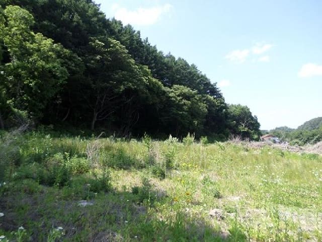 B000262202501300206302.jpg