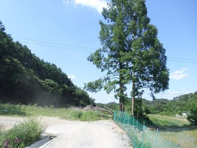 B000262202501300206303.jpg