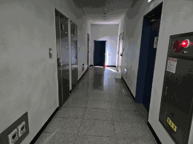 B000262202501300206334.jpg