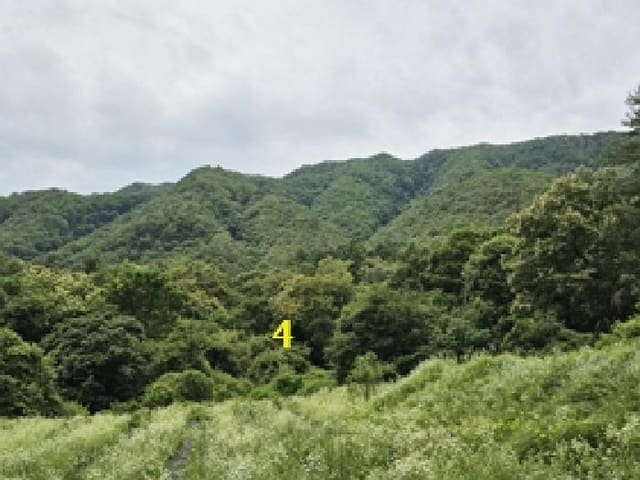 B000262202501300206383.jpg