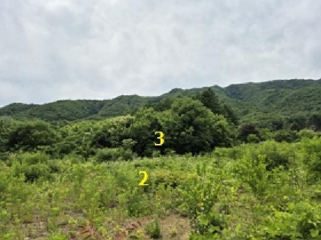 B000262202501300206382.jpg