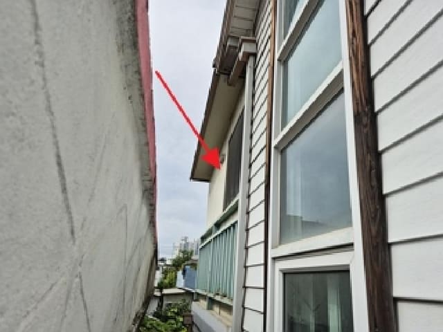 B000262202501300206404.jpg