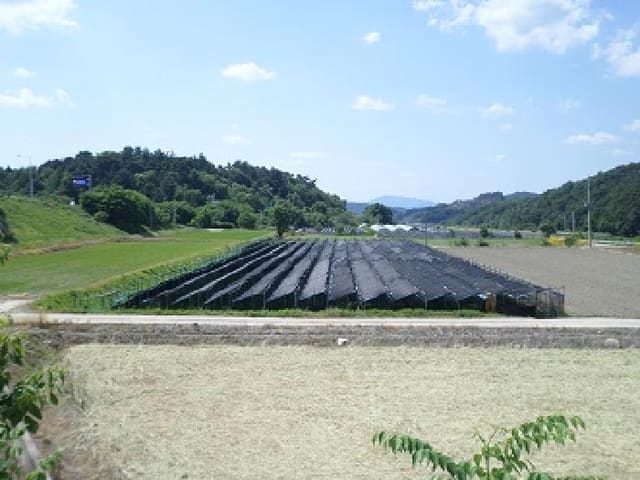 B000262202501300206601.jpg
