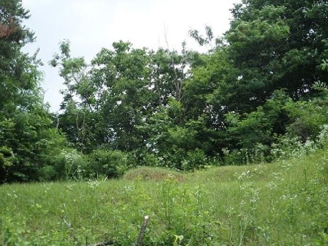 B000262202501300206681.jpg