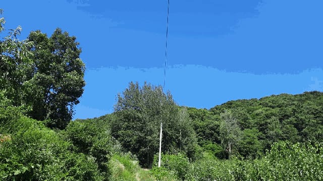 B000262202501300206684.jpg