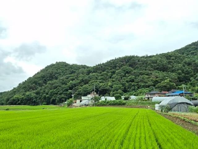B000262202501300206821.jpg