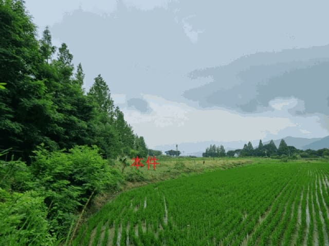 B000262202501300206893.jpg