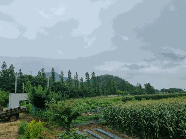 B000262202501300206894.jpg