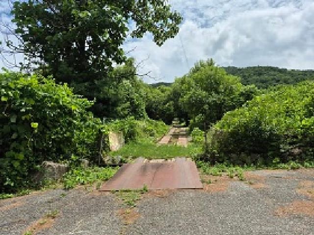 B000262202501300206913.jpg