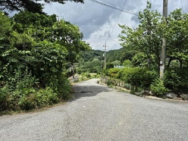 B000262202501300206912.jpg