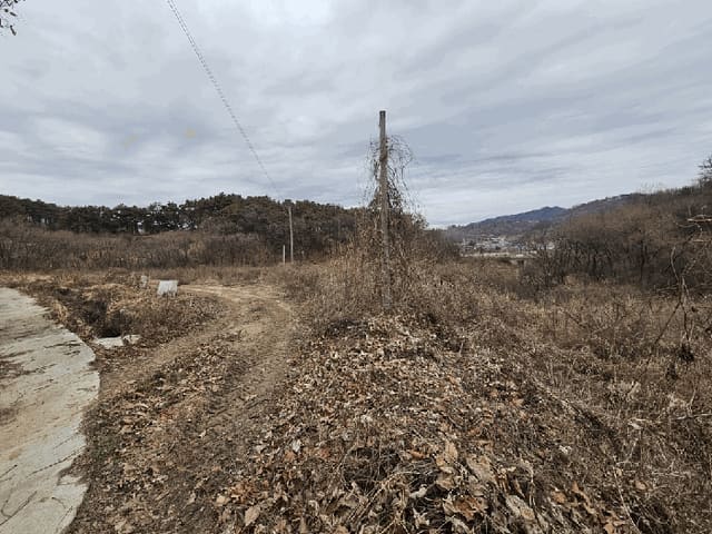 B000262202501300206953.jpg