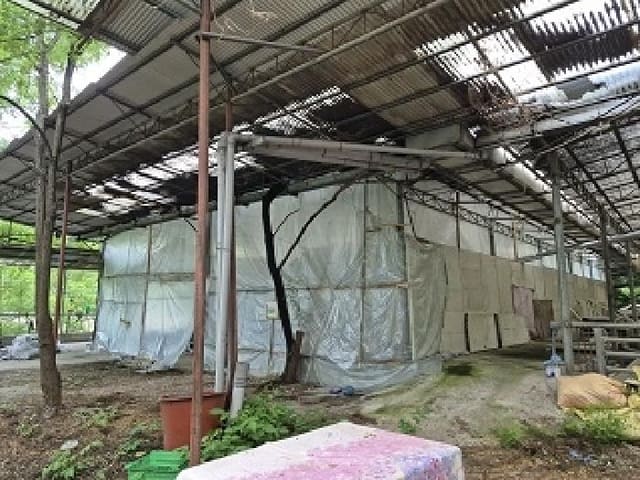 B000262202501300206964.jpg