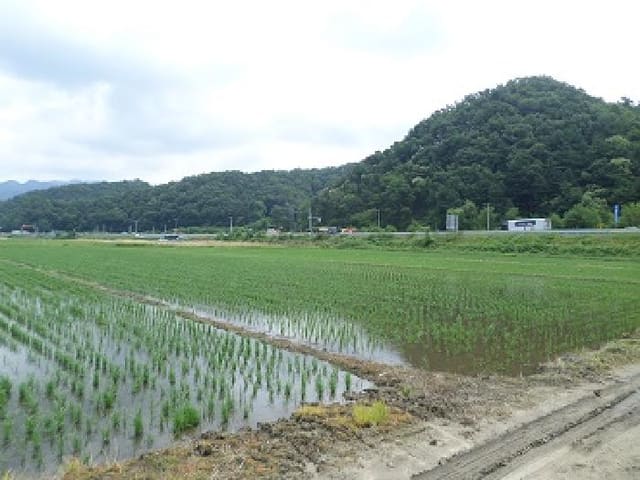 B000262202501300206971.jpg