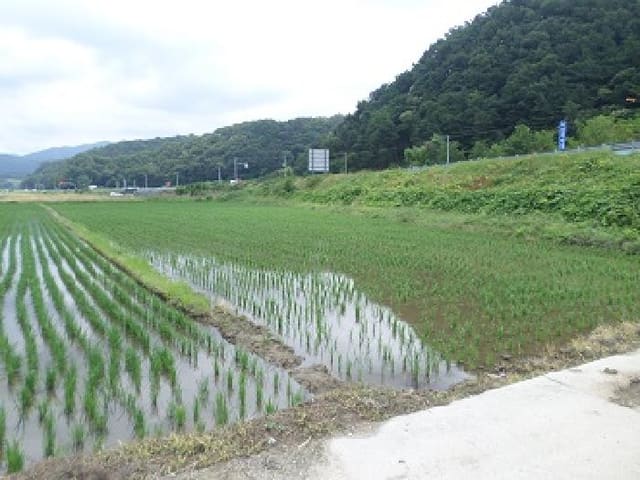 B000262202501300206972.jpg