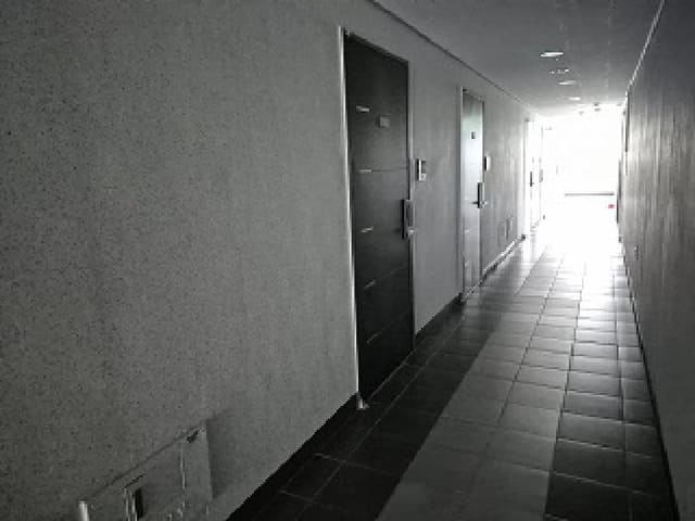 B000262202501300207041.jpg