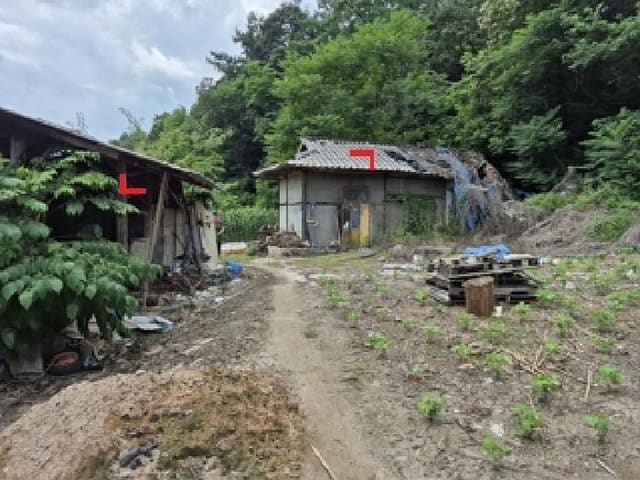 B000262202501300207071.jpg