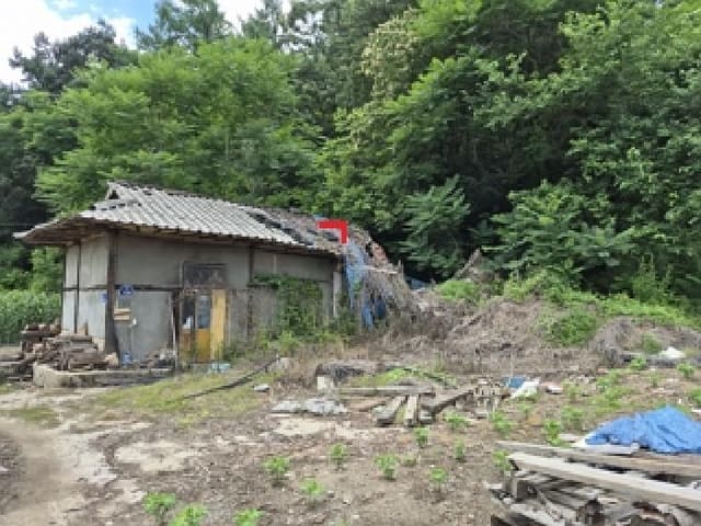 B000262202501300207072.jpg