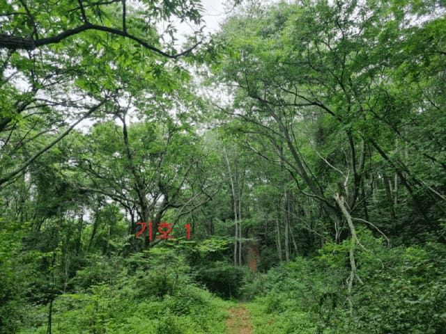 B000262202501300207104.jpg