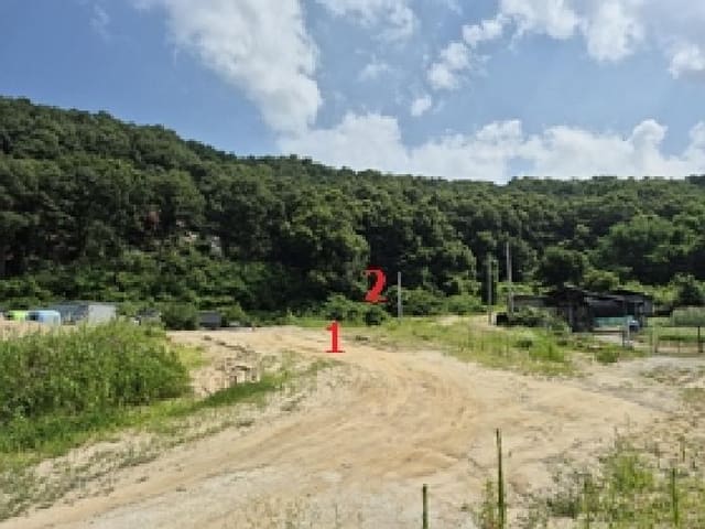 B000262202501300207152.jpg