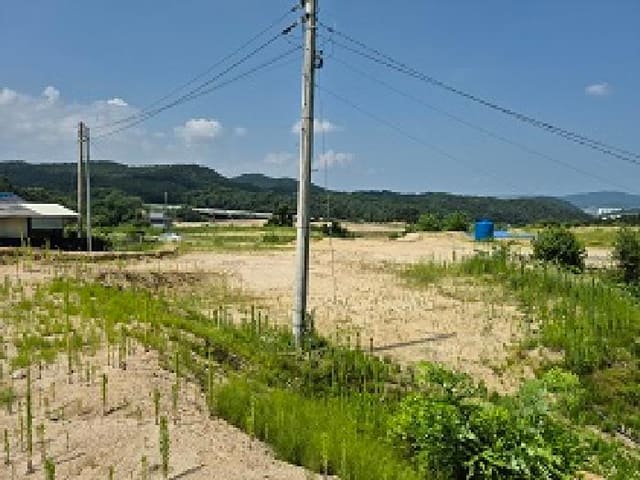 B000262202501300207153.jpg