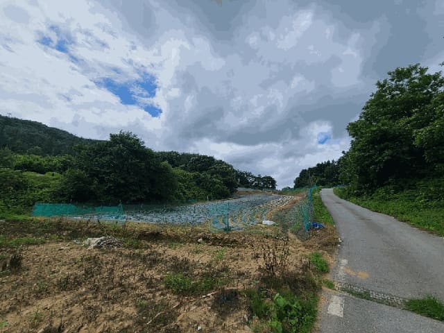 B000262202501300207254.jpg