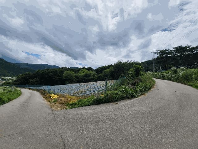 B000262202501300207253.jpg
