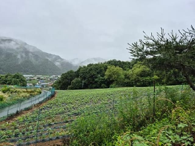 B000262202501300207251.jpg