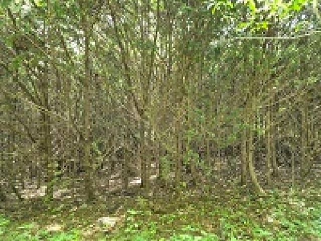 B000262202501300207264.jpg