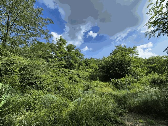 B000262202501300207303.jpg