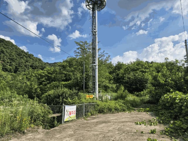 B000262202501300207304.jpg