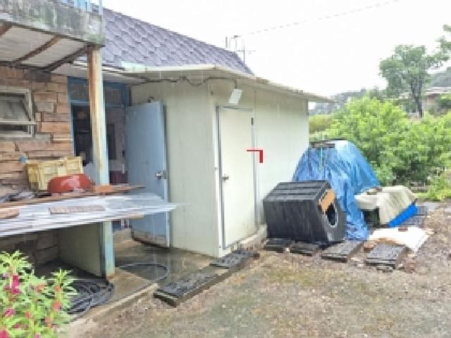 B000262202501300207323.jpg