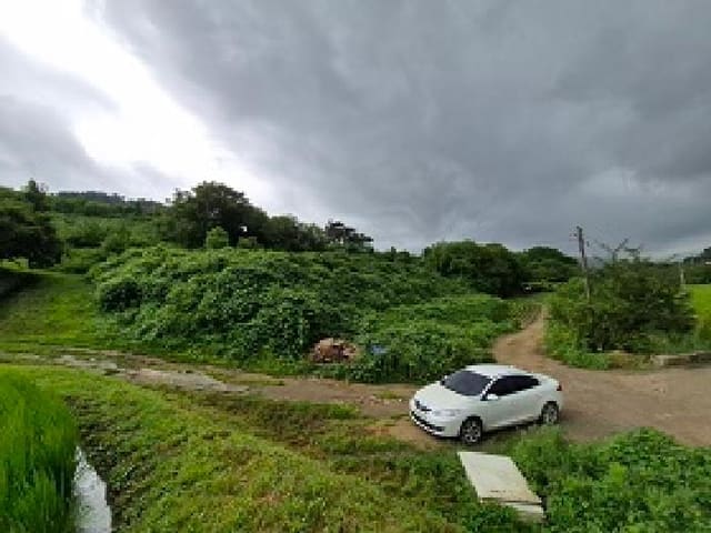 B000262202501300207691.jpg