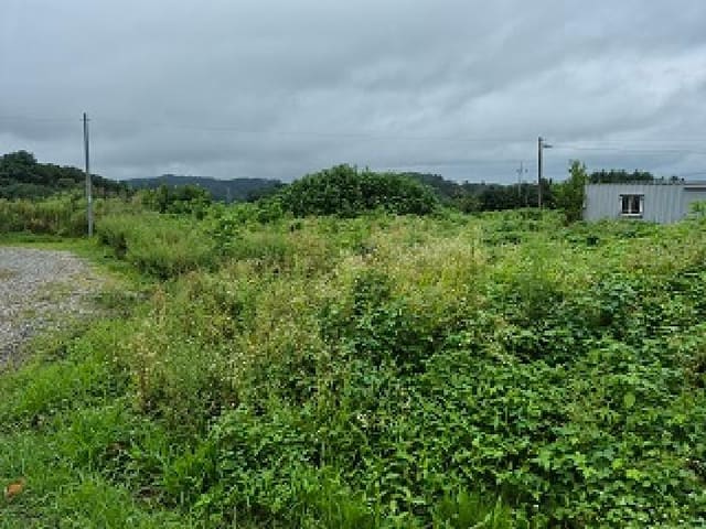 B000262202501300207741.jpg
