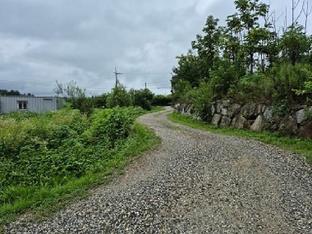 B000262202501300207744.jpg