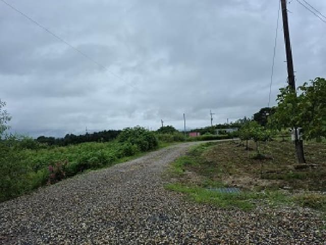 B000262202501300207743.jpg