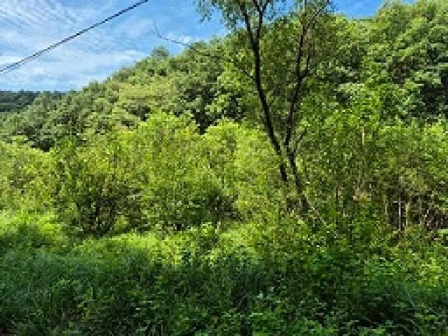 B000262202501300207781.jpg