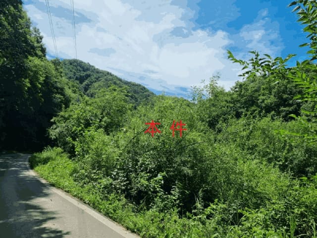 B000262202501300207784.jpg