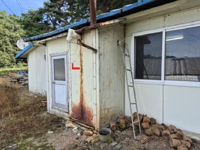 B000262202501300208072.jpg
