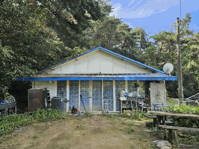 B000262202501300208073.jpg