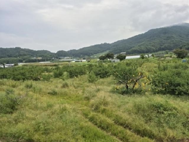 B000262202501300208371.jpg