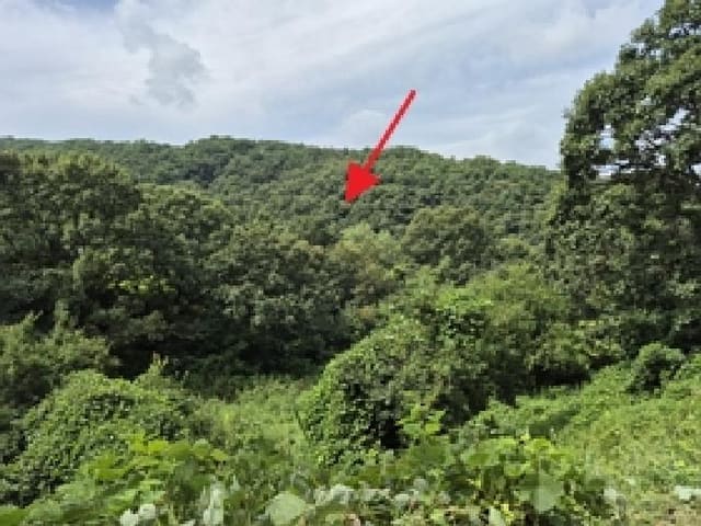 B000262202501300208412.jpg