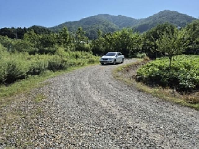 B000262202501300208561.jpg