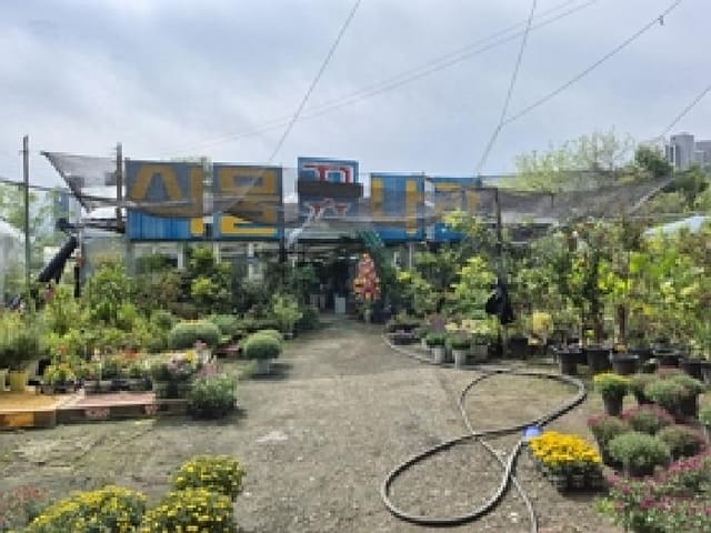 B000262202501300208701.jpg