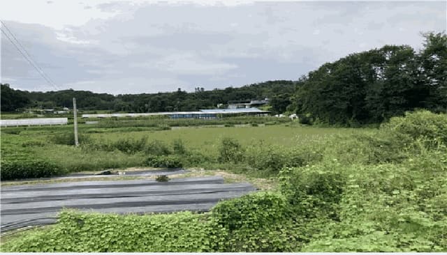 B000262202501300208763.jpg