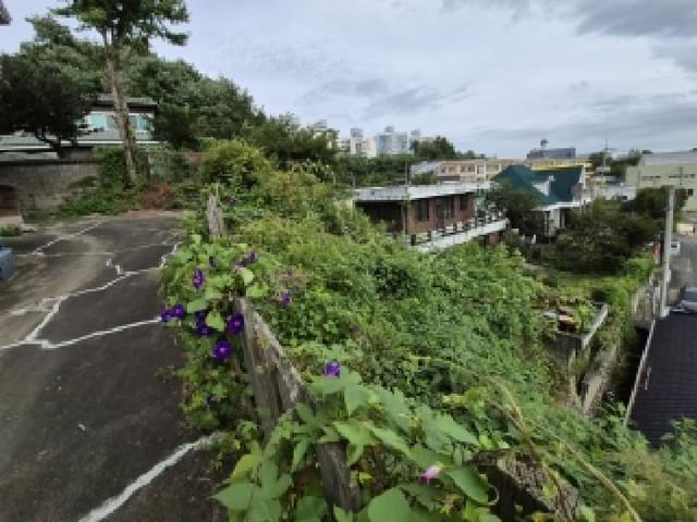 B000262202501300208864.jpg