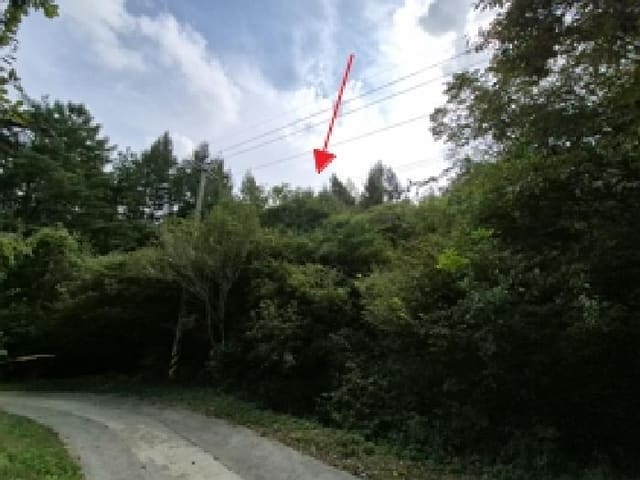 B000262202501300208981.jpg