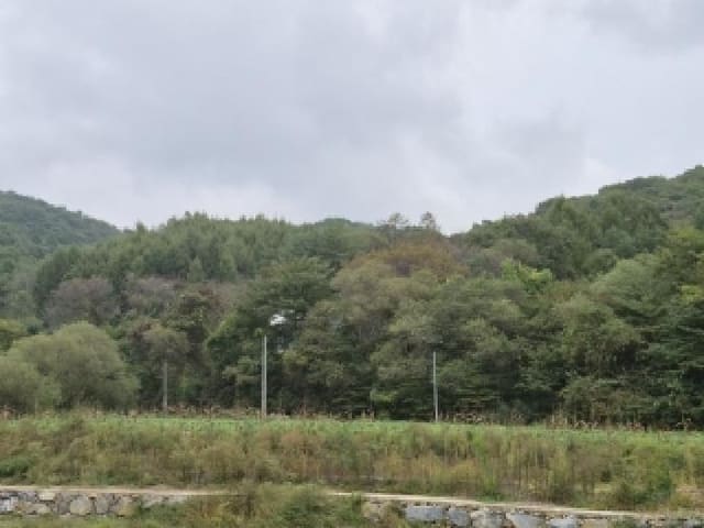 B000262202501300209081.jpg