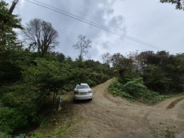B000262202501300209082.jpg